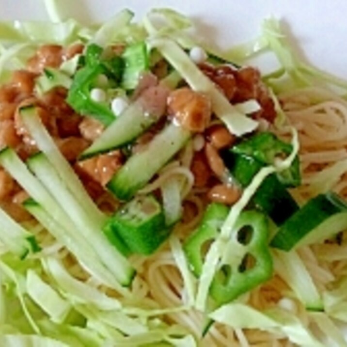 柚子胡椒 たっぷり野菜と納豆のぶっかけそうめん レシピ 作り方 By まの925 楽天レシピ 柚子胡椒 たっぷり野菜と納豆のぶっかけそうめん レシピ 作り方 By まの925 楽天レシピ